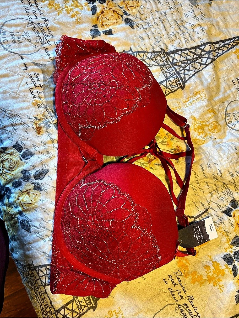 Cacique Seriously Sexy Boost Plunge Bra Red 44D NWT